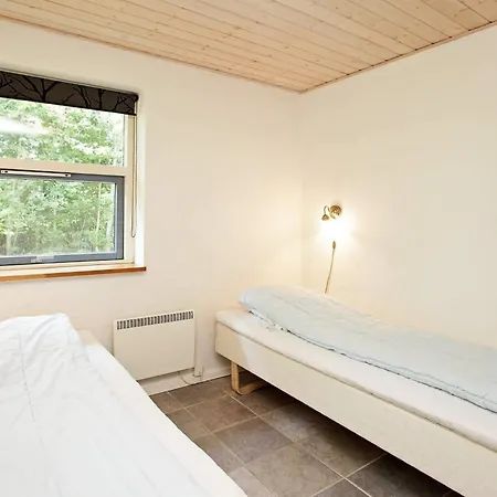 12 Person In Hojslev-by Traum